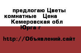 предлогаю Цветы комнатные › Цена ­ 300 - Кемеровская обл., Юрга г.  »    